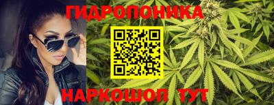 каннабис Будённовск