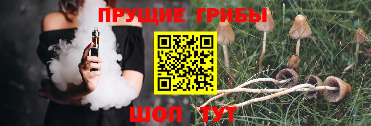 Псилоцибиновые грибы Psilocybine cubensis  Вход с VPN  Псилоцибиновые грибы Psilocybe  купить наркотики сайты  Усть-Джегута 