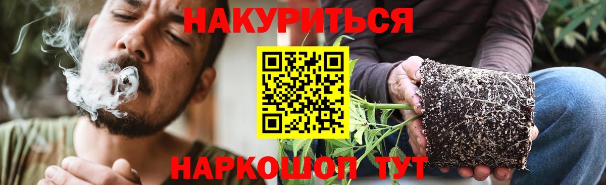 Бошки Шишки Ganja Усть-Джегута